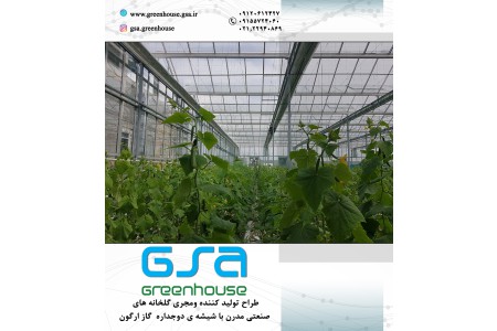 گلخانه های مدرن صنعتی GSa Greenhouse