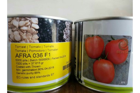 فروش بذر گوجه فرنگی افرا