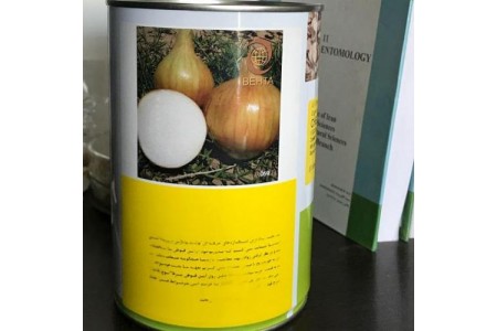 بذر پیاز انزا چلسی
