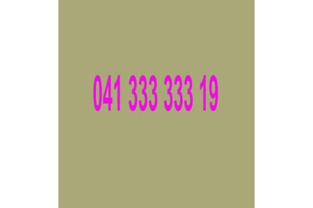 فروش خط تلفن ثابت منطقه ولیعصر تبریز 19 333 333 041