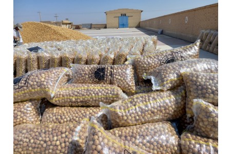 فروش عمده لیمو عمانی اعلا