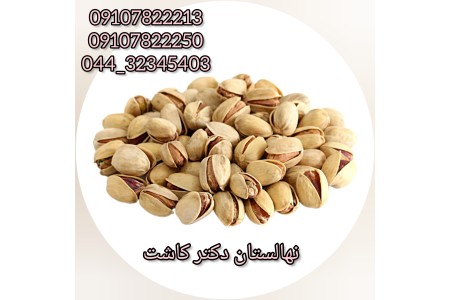 فروش عمده نهال پسته فندقی
