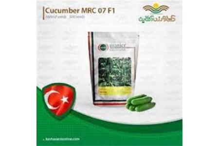 بذر خیار گلخانه ای ام ار سی 7