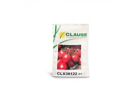 بذر گوجه سی ال ایکس 38122
