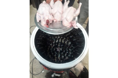 فروش پرکن مرغ صنعتی درجه یک