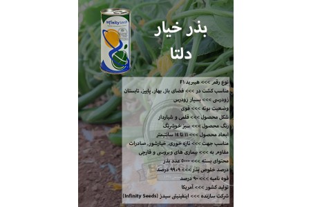 خیار دلتا