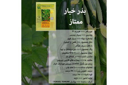 بذر خیار ممتاز