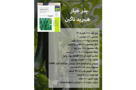 بذر خیار هیبرید ناگین