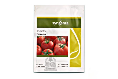 بذر گوجه سرین سینجنتا
