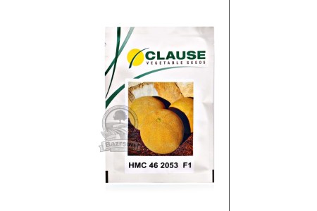 بذر خربزه گالیا HMC 46 2053