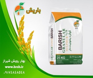 گوگرد بنتونیت دار