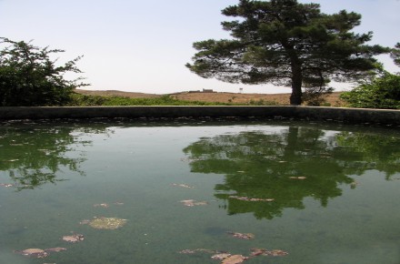 باغچه 1000 متری در محدوده خان زنیان (روستای دهنوقلندری)