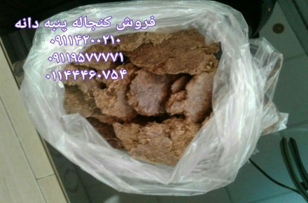 فروش کنجاله پنبه دانه