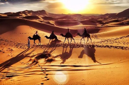 تور 2/5 روزه کویر مصر