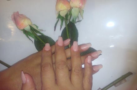 کاشت،ترمیم و ژلیش
