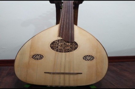 عود حرفه ای