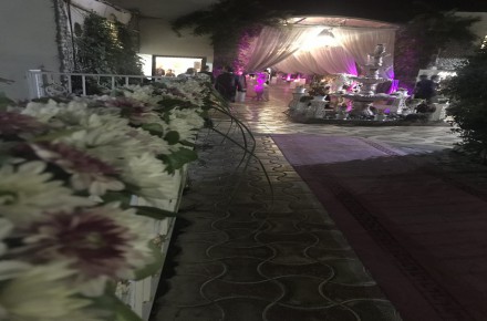 تشریفات مجالس عروسی سعید