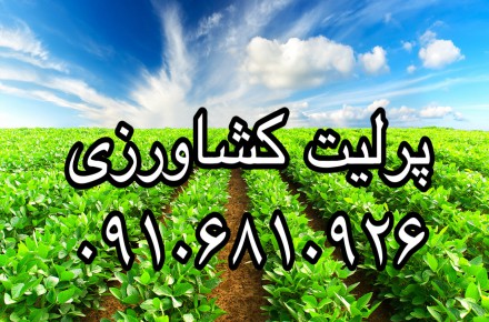 فروش پرلیت