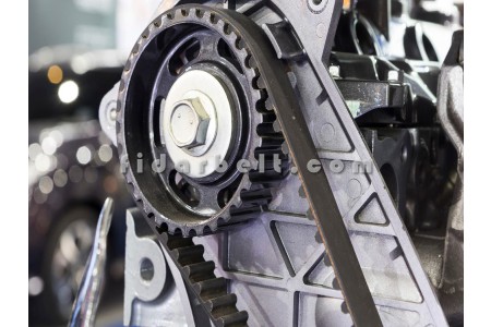 مرکز پخش تسمه تایم