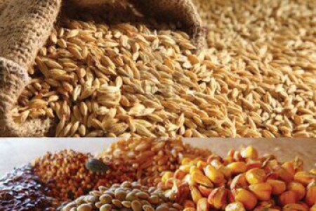مكمل هاي غدايي – ذرت - پودر چربي - پودر جوجه - پودر گوشت