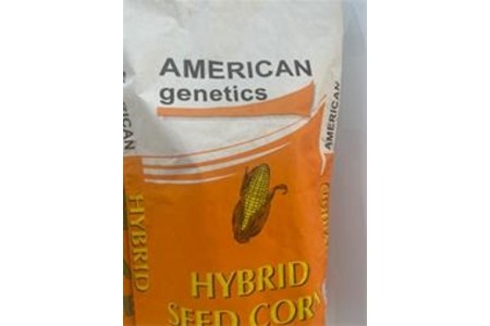 عرضه و فروش بذر ذرت امریکن ژنتیک