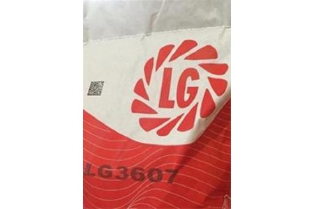 فروش بذر ذرت LG - بذر ذرت علوفه ای ال جی