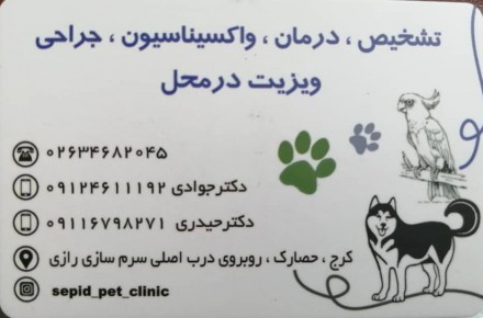 کلینیک حیوانات خانگی سپید