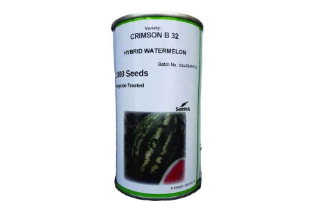 فروش بذر هندوانه بی32/b32